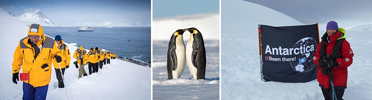 when to go to antarctica