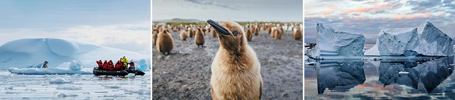 best time to travel to antarctica