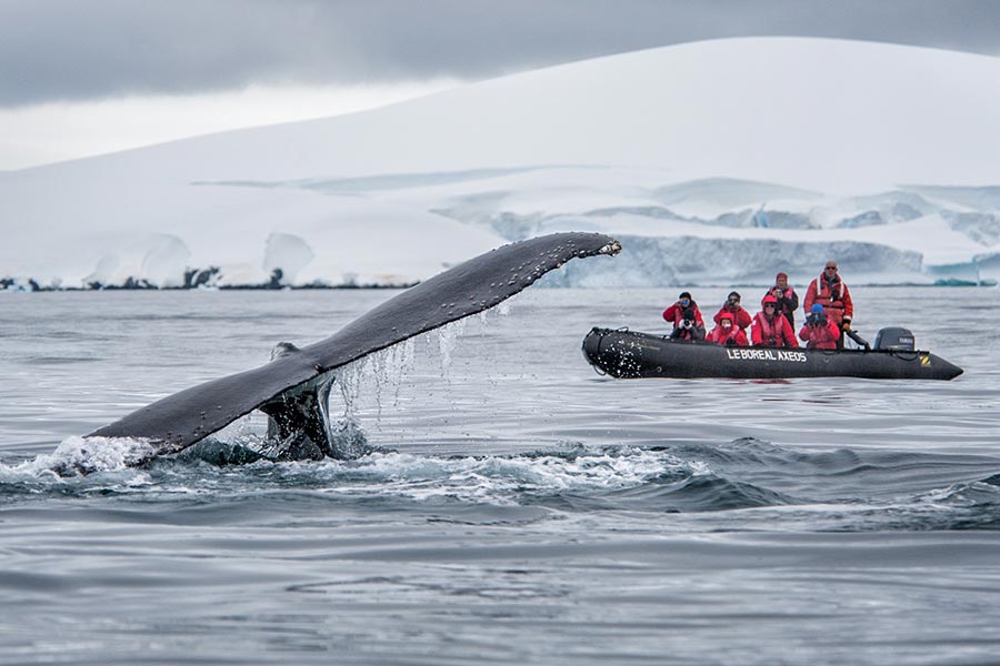 How to Visit Antarctica: A Comprehensive Guide